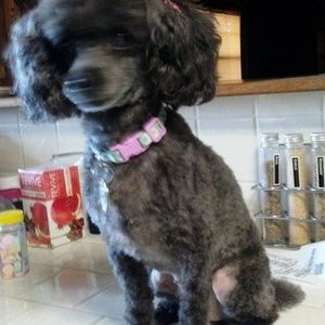 Meet your Posher, Mary